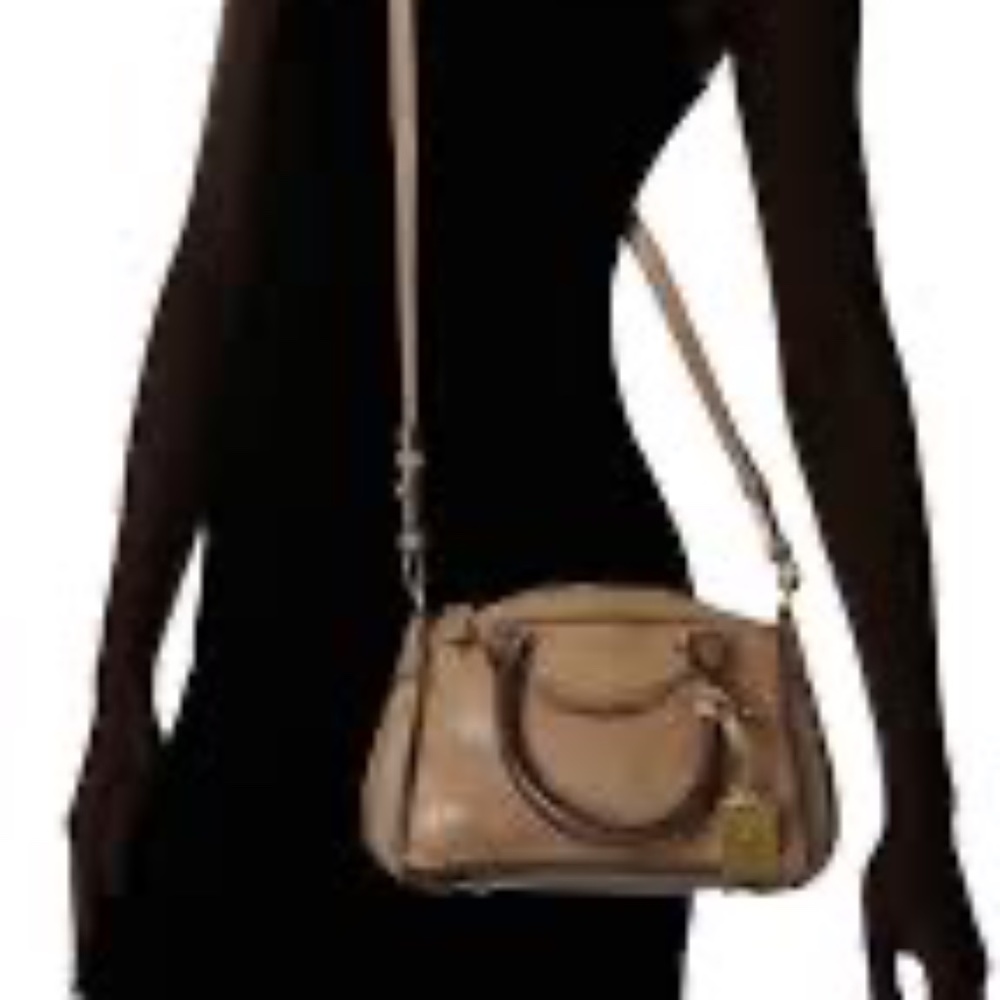 Frye Bianca satchel